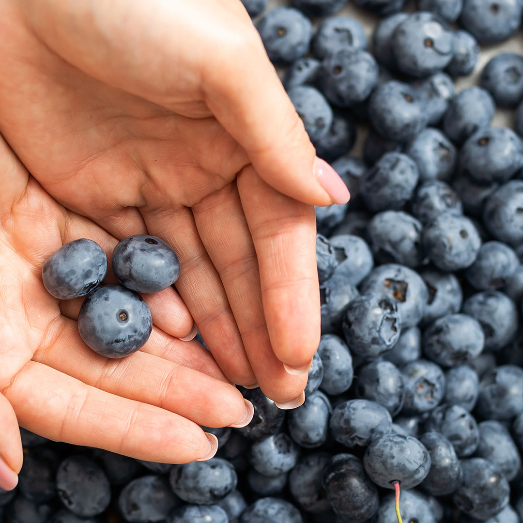 Veryberry yaban mersini